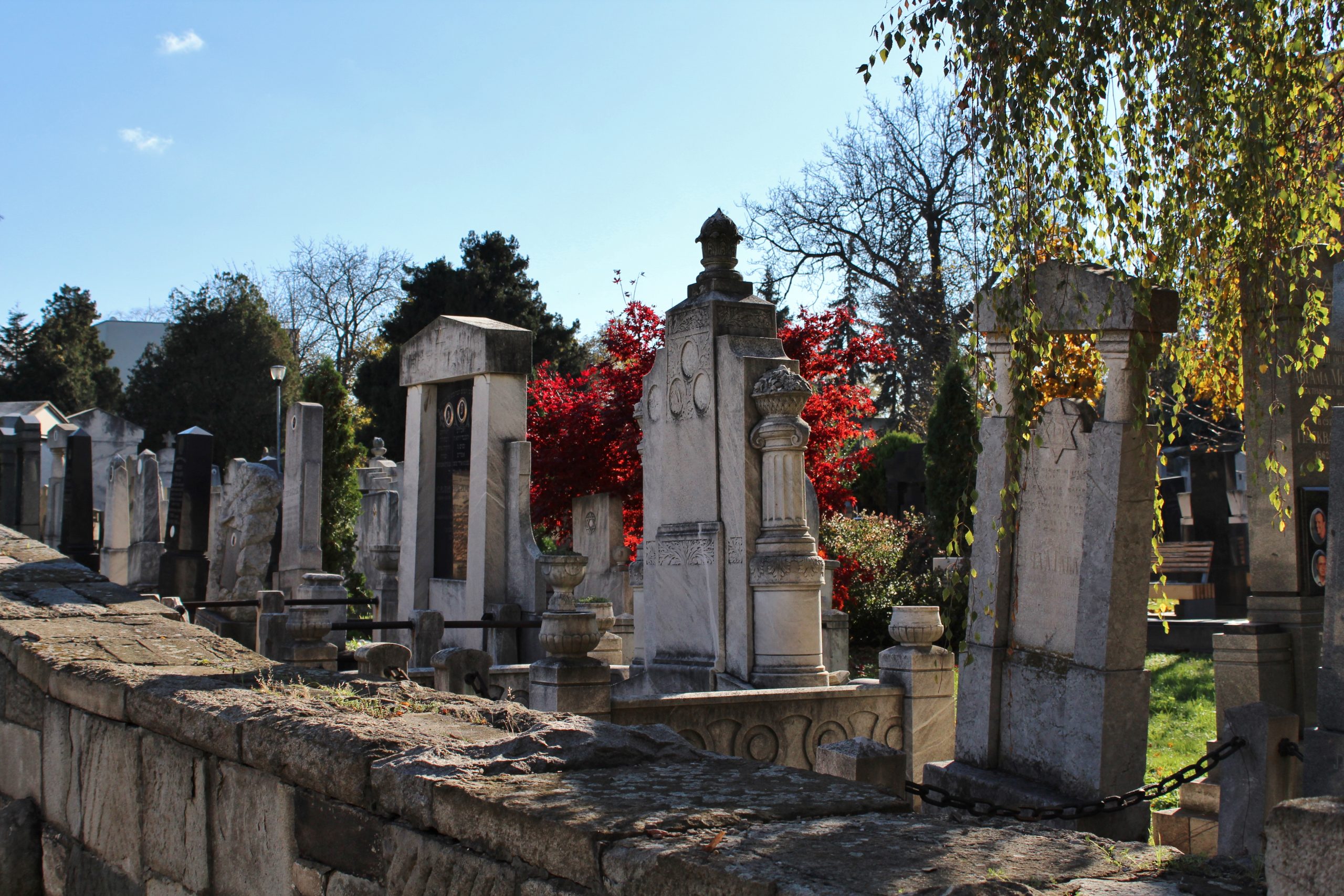 jevrejsko-groblje